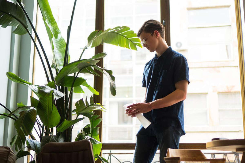 Kamerplanten verzorgen in 4 stappen