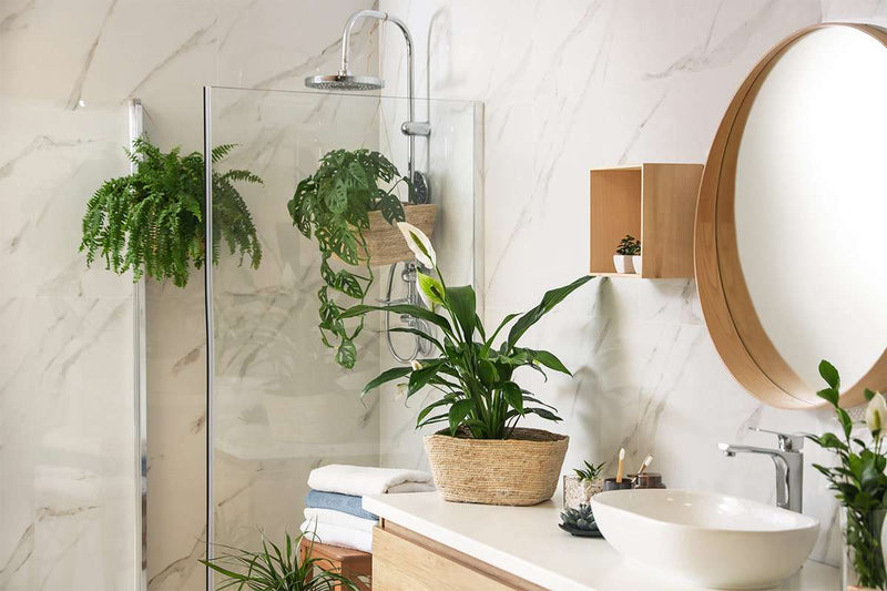10 planten voor de badkamer