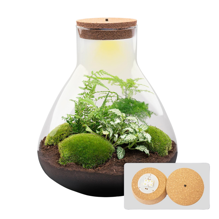 Groene Reus