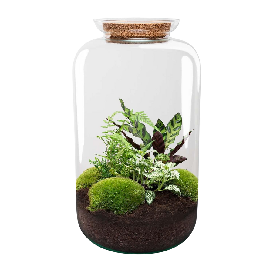 Plantkundige