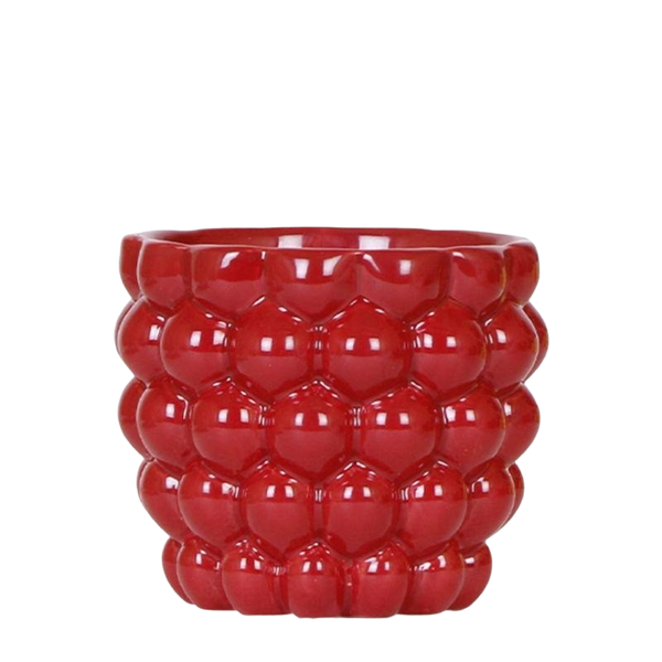 Kolibri Berry rood – Ø12 cm