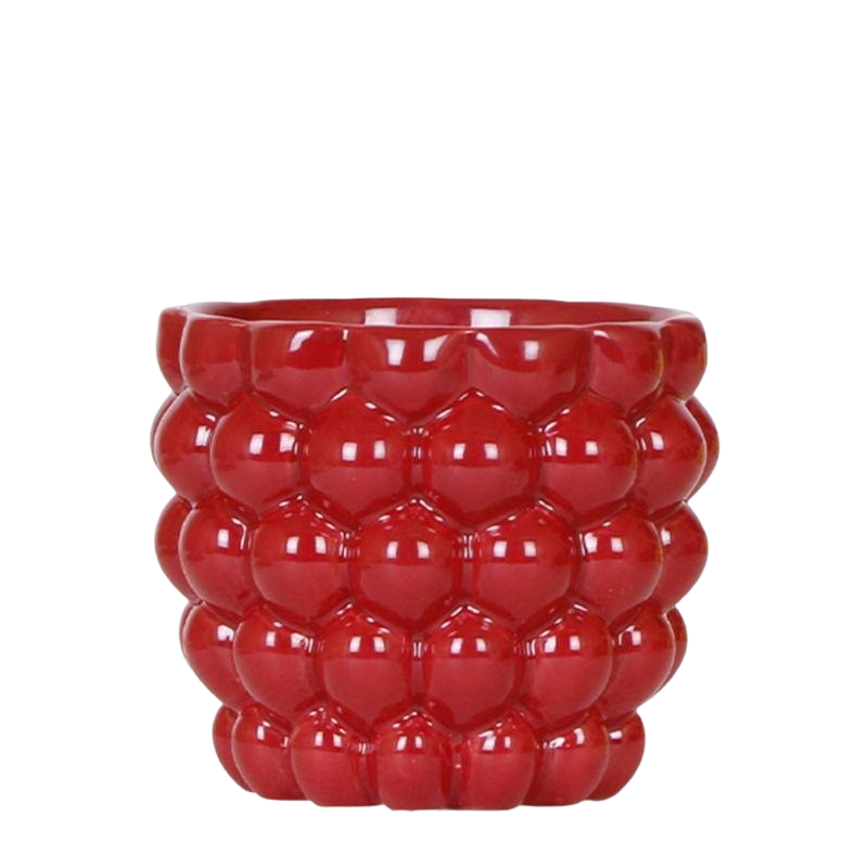 Kolibri Berry rood – Ø12 cm