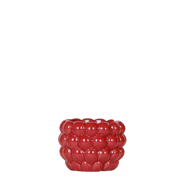 Kolibri Berry rood – Ø6 cm
