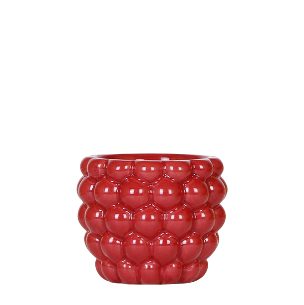 Kolibri Berry rood – Ø9 cm