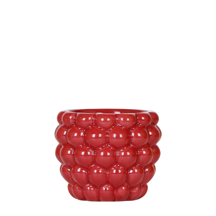 Kolibri Berry rood – Ø9 cm