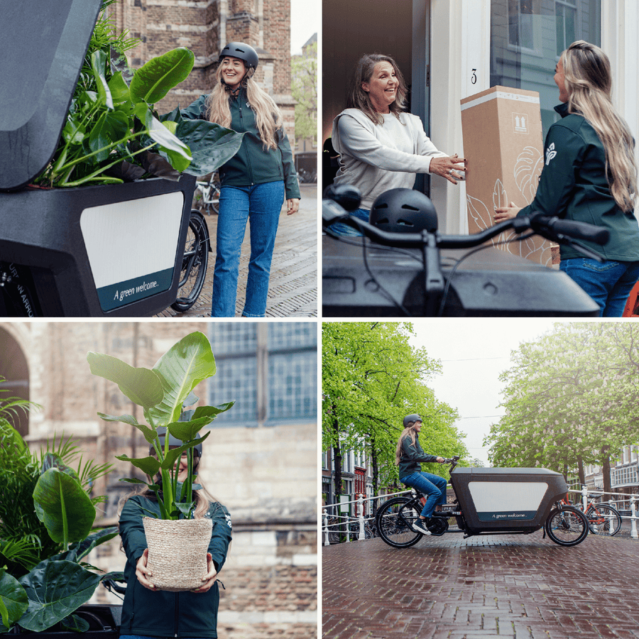 Grote Verrassing x5