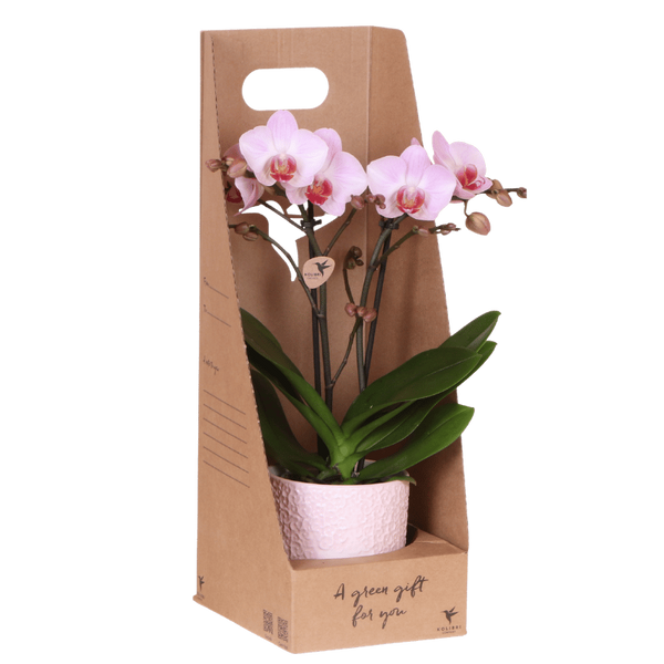 Roze Belofte