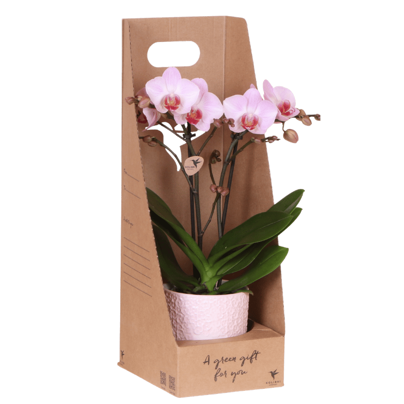 Roze Belofte