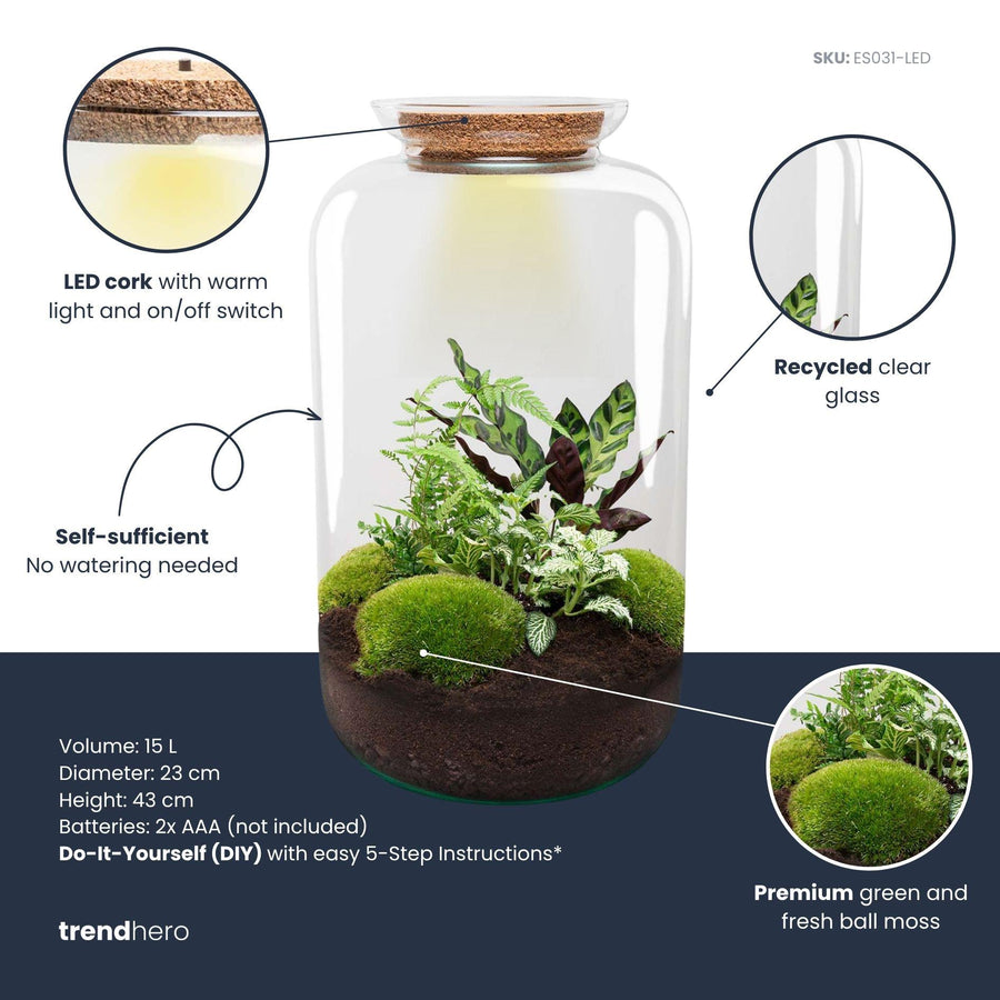 Plantkundige